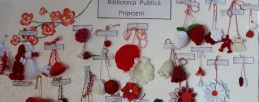 imagine_principala