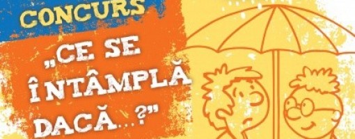 imagine_principala