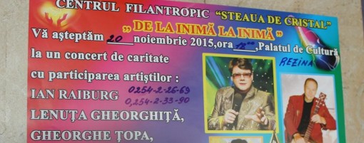 imagine_principala