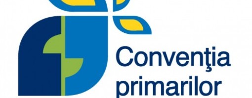 imagine_principala