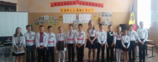 imagine_principala