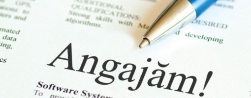 imagine_principala