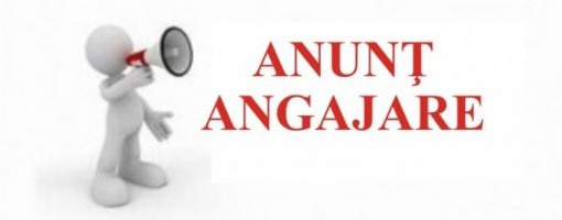 imagine_principala