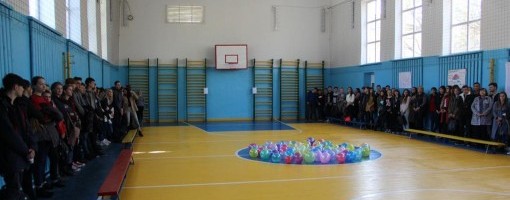imagine_principala