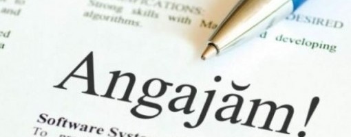 imagine_principala